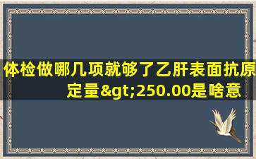 体检做哪几项就够了乙肝表面抗原定量>250.00是啥意思